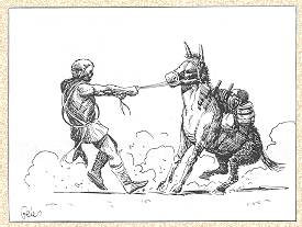 [Stubborn Mule]
