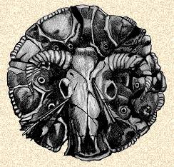 [Skull Shield]