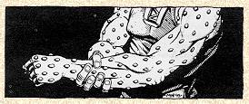 [Blood Pebbles Armor]